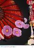 Scarlet Umbrella And Peony Deluxe Version 1/7 PRISMA WING Fujichoco's Original Illustration | Prime 1 Studio Figure
