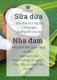  Dầu ủ tóc Lô Hội Sữa Dừa 