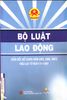 Bộ luật lao động ( sửa đổi, bổ sung năm 2002, 2006, 2007 )