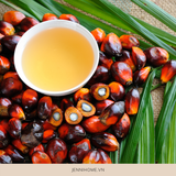 DẦU CỌ - PALM OIL - NGUYÊN LIỆU LÀM XÀ PHÒNG CHUYÊN NGHIỆP