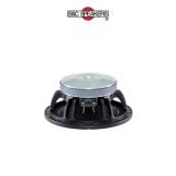 LOA RỜI 2 TẤC RƯỠI B&C SPEAKERS 10FW64