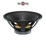 LOA RỜI 5 TẤC B&C SPEAKERS 18RBX100