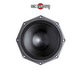  LOA BASS RỜI 2 TẤC B&C SPEAKERS 8NDL51 