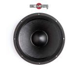 LOA RỜI 4 TẤC B&C SPEAKERS 15PS76