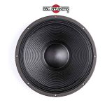 LOA RỜI 5 TẤC B&C SPEAKERS 18TBX100