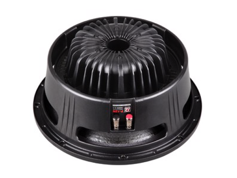LOA RỜI P.AUDIO P12N