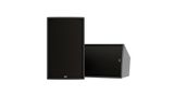 LOA THÙNG PASSIVE NEXO ePS10