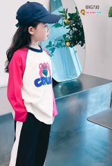 Bộ dài tay thu đông gấu Dâu quần ống suông dễ thương cho bé gái BXG730