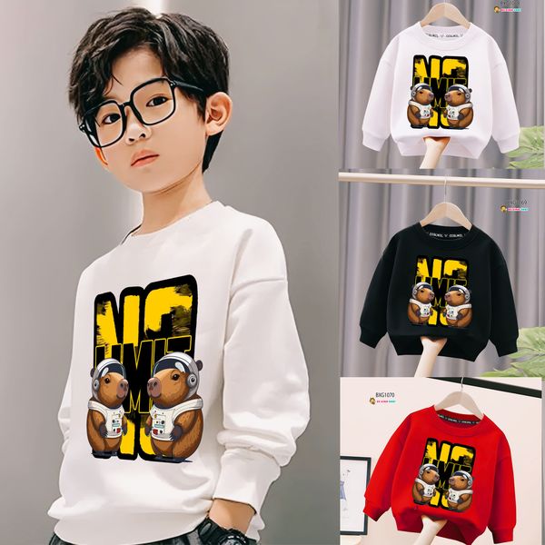 Áo dài tay thu đông in hình 3D dễ thương cho bé trai BXG1068