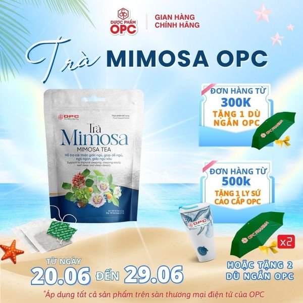  TPBS. TRÀ MIMOSA 