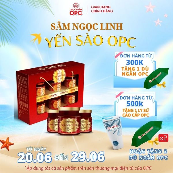  SÂM NGỌC LINH YẾN SÀO OPC 