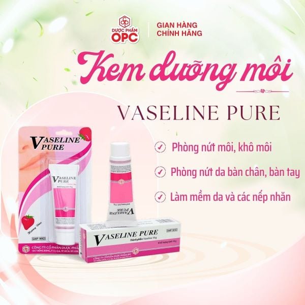  VASELINE OPC 