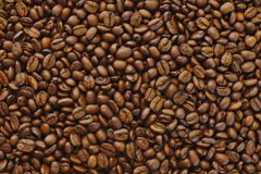 Chiết xuất cà phê / Coffee extract