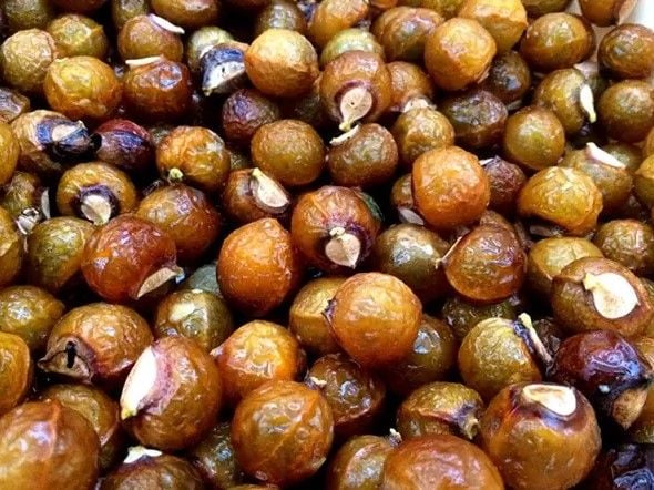 Chiết xuất bồ hòn / Soapberry fruit extract