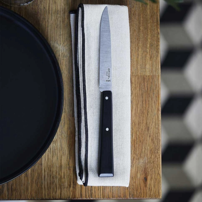 Bộ 4 dao bàn ăn dã ngoại Opinel table knives No.125 PRO POLYMER