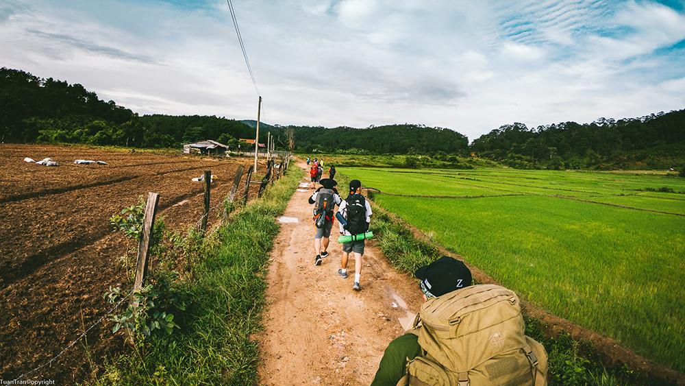 ta-nang-phan-dung-trekking-cho-nguoi-moi-bat-dau-01