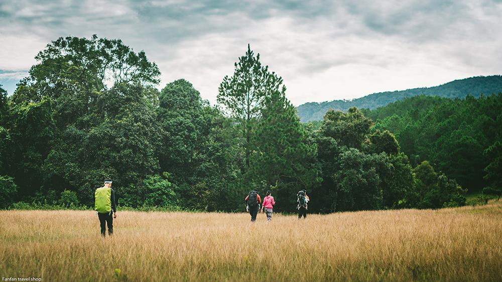 ta-nang-phan-dung-trekking-cho-nguoi-moi-bat-dau-02