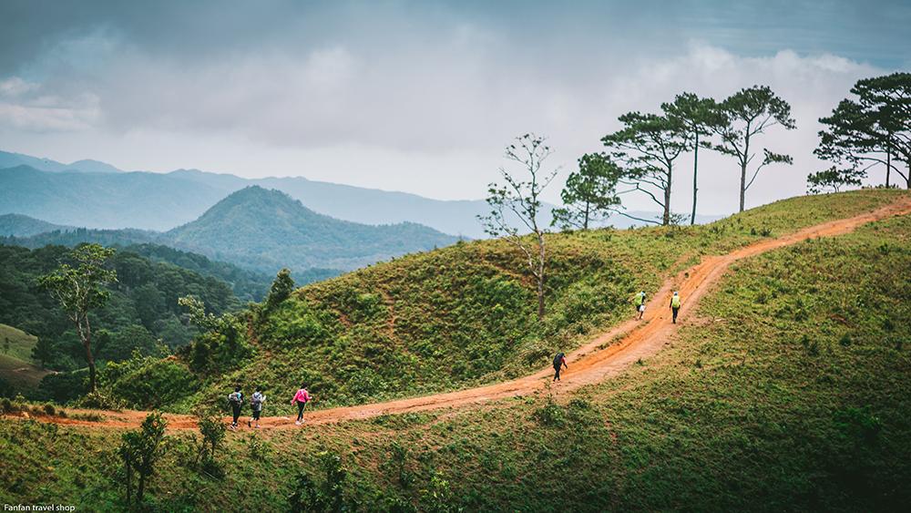 ta-nang-phan-dung-trekking-cho-nguoi-moi-bat-dau-03