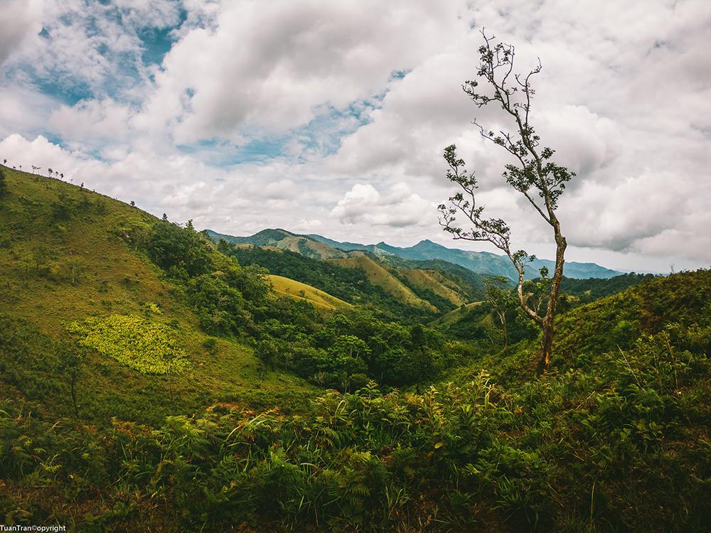 ta-nang-phan-dung-trekking-cho-nguoi-moi-bat-dau-05