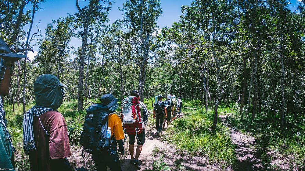 ta-nang-phan-dung-trekking-cho-nguoi-moi-bat-dau-09