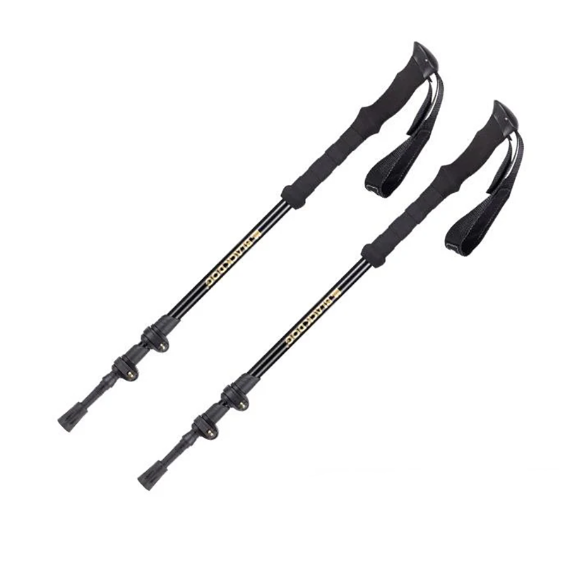 Bộ 2 gậy leo núi trekking Blackdog CBD230DS011