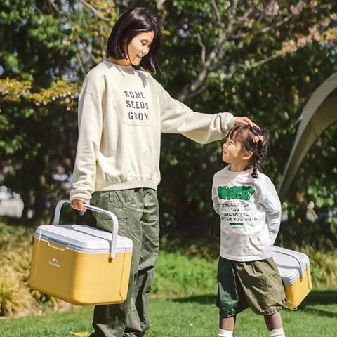 Thùng đá giữ lạnh dã ngoại mini xách tay Naturehike CNK2450CF012