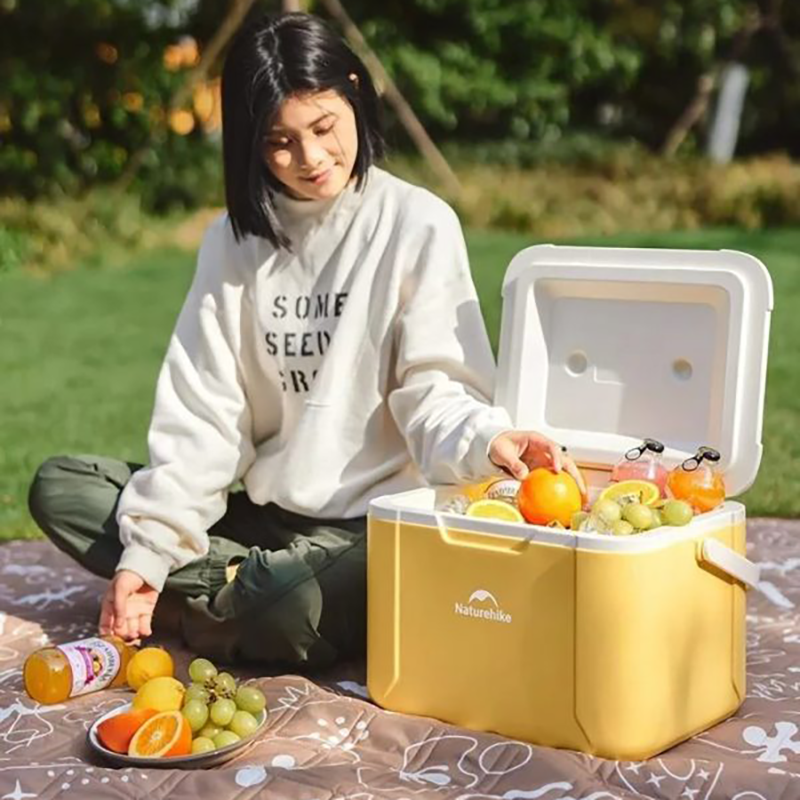 Thùng đá giữ lạnh dã ngoại mini xách tay Naturehike CNK2450CF012