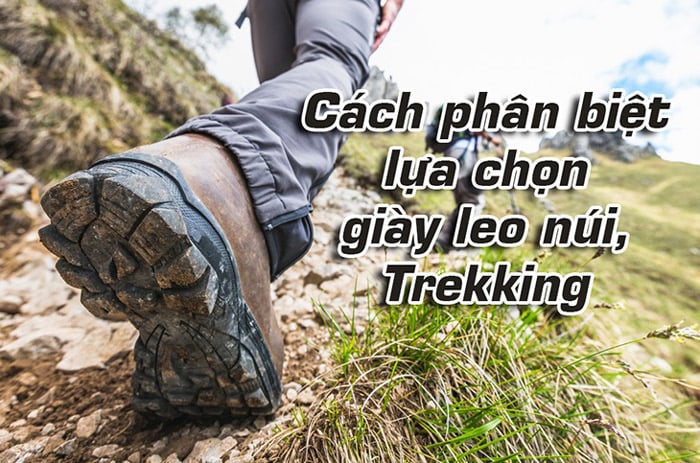 Cách chọn giày leo núi giày trekking phù hợp dã ngoại