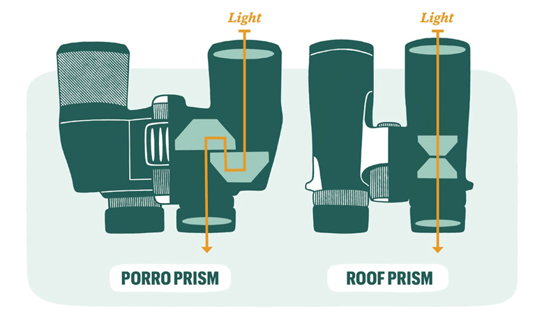 nhung dieu co ban ve ong nhom, cach chon ong nhom leo nui da ngoai he lang kinh