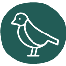 nhung dieu co ban ve ong nhom, cach chon ong nhom leo nui da ngoai 02