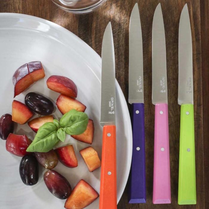 Bộ 4 dao bàn ăn dã ngoại Opinel table knives Wooden Handles