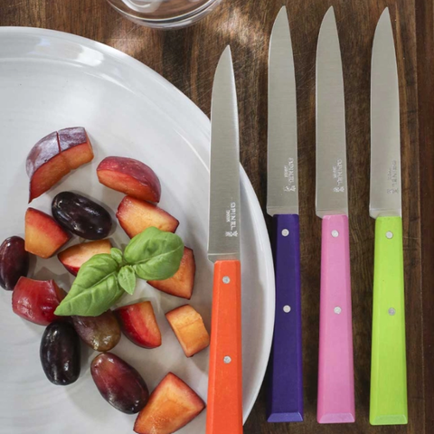 Bộ 4 dao bàn ăn dã ngoại Opinel table knives Wooden Handles