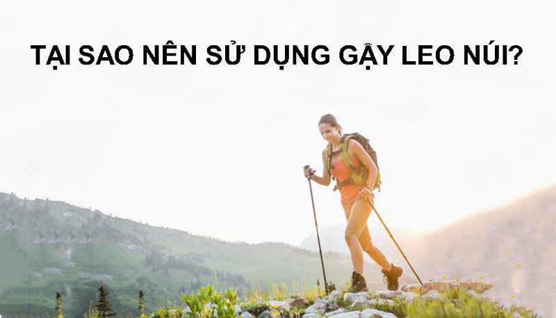 9 lý do nên sử dụng gậy khi đi trekking, leo núi