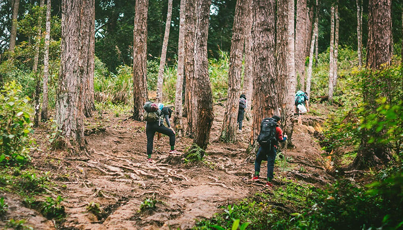 trekking là gi, trekking có gi vui  duoc tap the duc