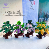  Cây Nho Tài lộc 