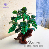  Cây Nho Tài lộc 