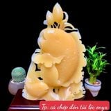  Tác phẩm Cá Chép Đón Tài Lộc Ngọc Hoàng Long 