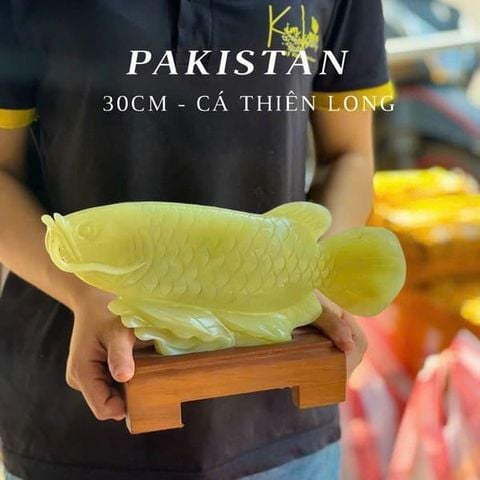 Tượng Cá Rồng Ngọc Pakistan