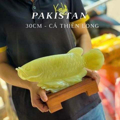 Tượng Cá Rồng Ngọc Pakistan