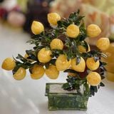  Cây Đào Ngọc Hoàng Long 18 Quả 35cm 