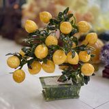  Cây Đào Ngọc Hoàng Long 18 Quả 35cm 