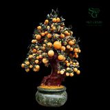  Cây Đào Ngọc Hoàng Long 188 Quả 