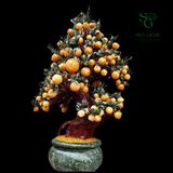  Cây Đào Ngọc Hoàng Long 188 Quả 