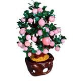  Cây Đào Thạch Anh Hồng 38 Quả 95cm 