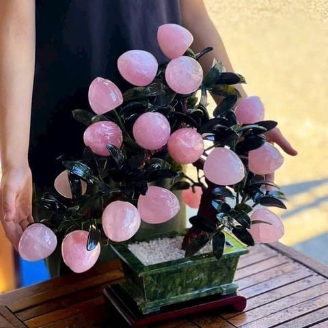 Cây Đào Thạch Anh Hồng 18 Quả 55cm