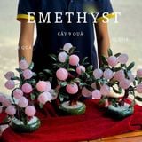  Cây Đào Thạch Anh Hồng 9 Quả 28cm 