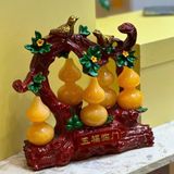  Cây Hồ Lô Ngũ Lộc Ngọc Hoàng Long 