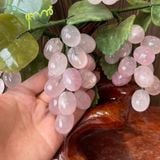  Cây Nho Thạch Anh Hồng 1 