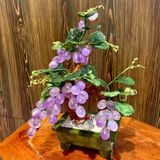  Cây Nho Thạch Anh Tím 