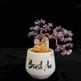  Cây Tài Lộc Đá Thạch Anh 22cm 